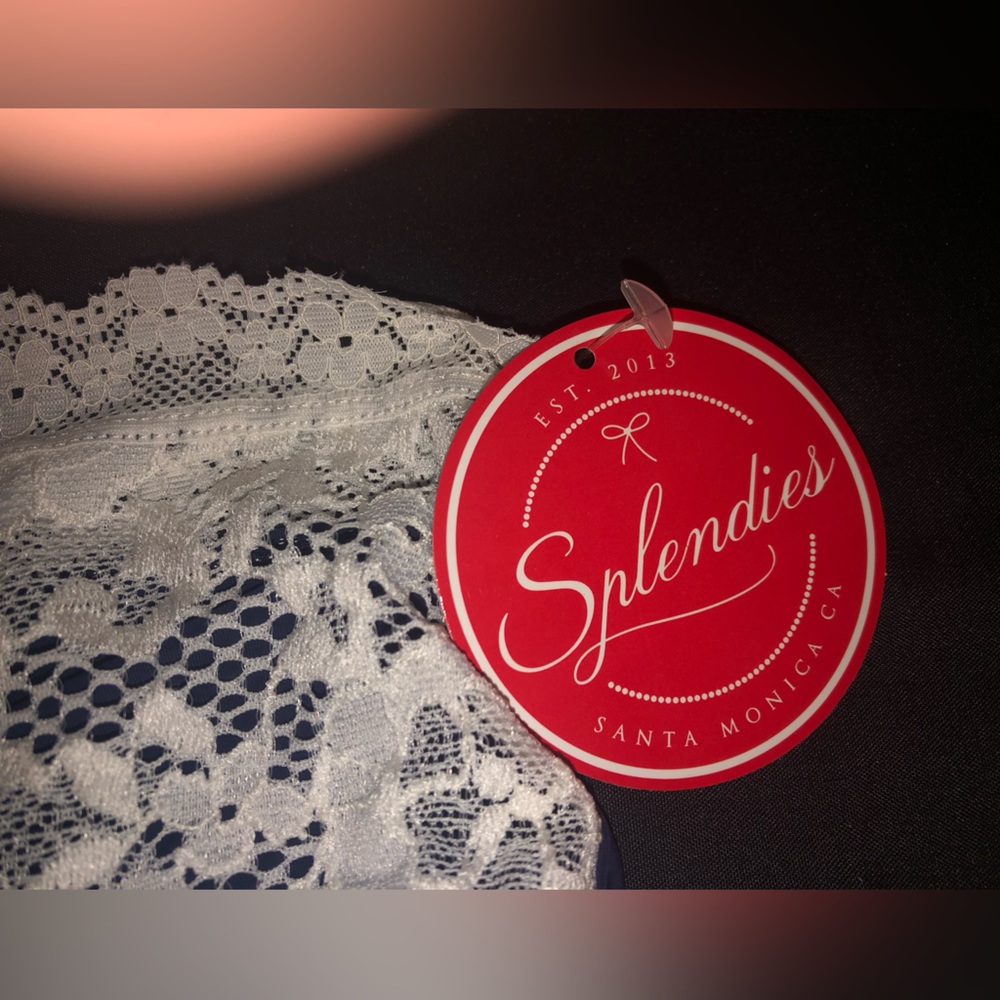 Splendies panties and Wiltshire Montana 2 pair 4xl